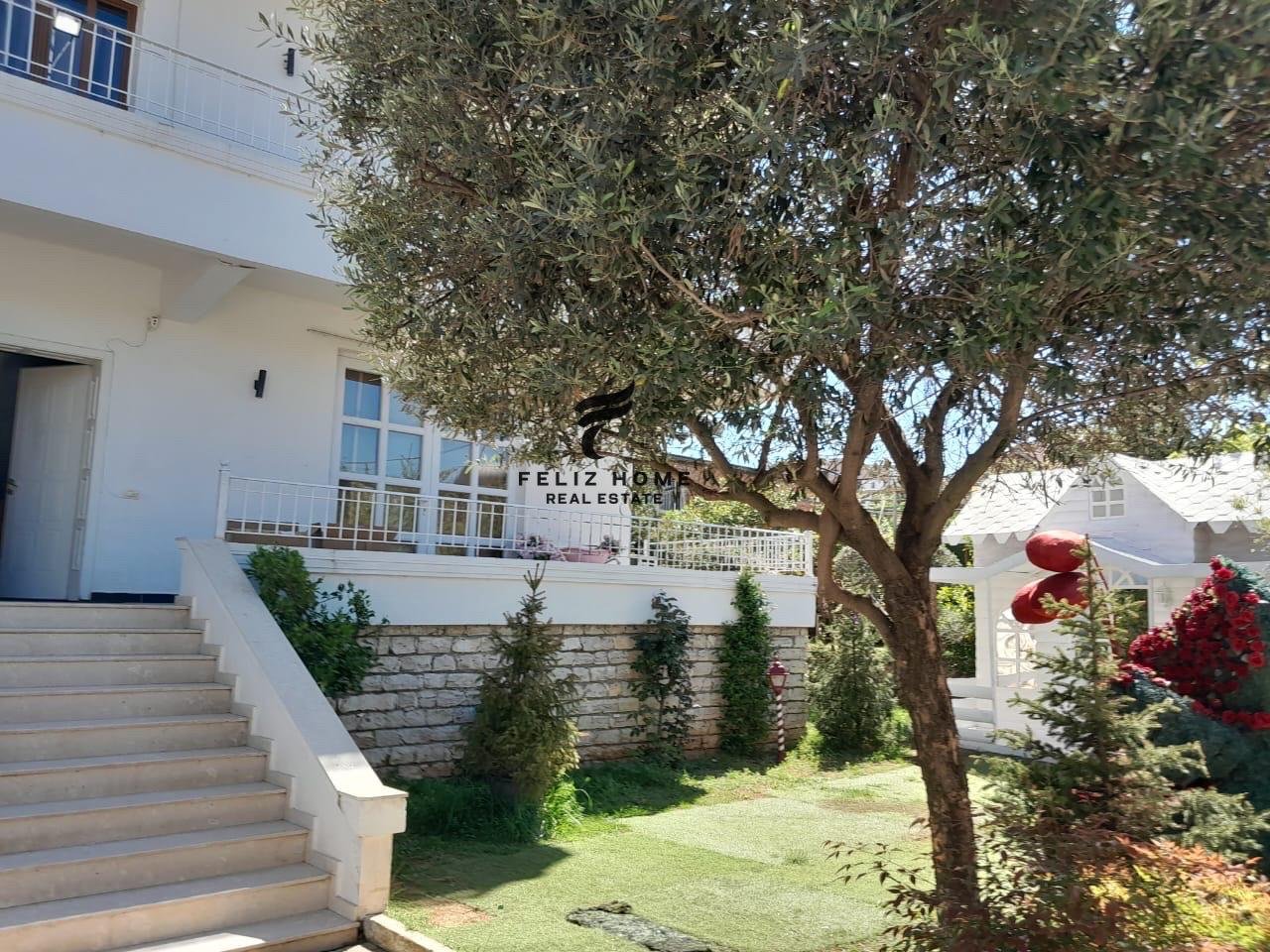 WhatsApp Image 2025-06-24 at 10.02.41 AM (1)