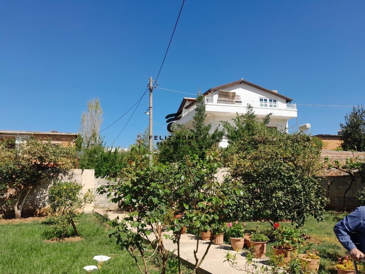 WhatsApp Image 2025-06-24 at 10.02.43 AM