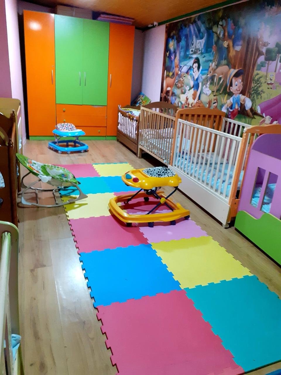 WhatsApp Image 2026-01-24 at 1.30.35 PM