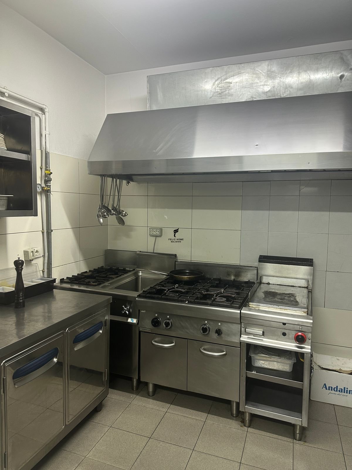 WhatsApp Image 2026-04-04 at 12.22.16 PM