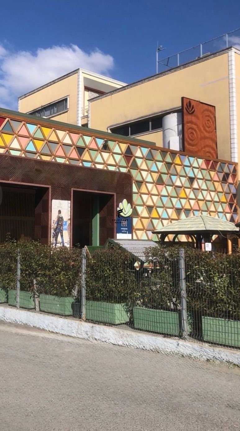 WhatsApp Image 2026-04-08 at 2.07.05 PM